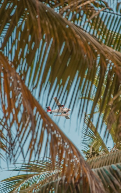 Advertising Your Flight Training Business